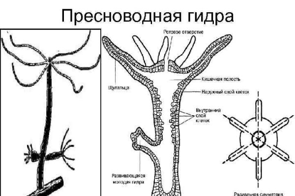 Кракен официальная ссылка